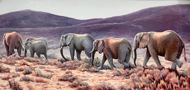 The Elephants of Little Karoo