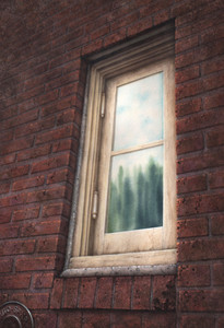 Reflection in the Brick Window