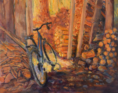 A Bike in the Woodshed
