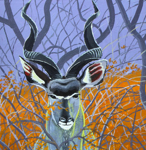 Kudu in the Bush