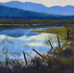 Marsh Reflection