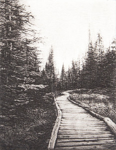 Path to Lakeview Mountain
