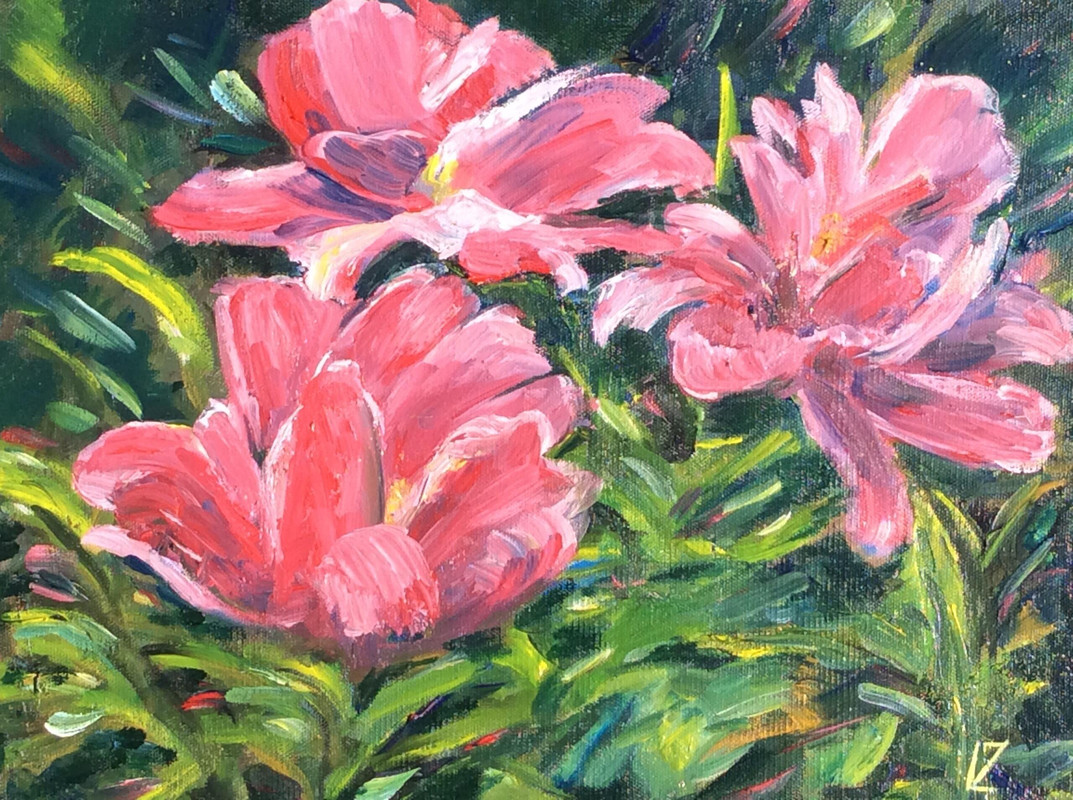 Spring Beauty