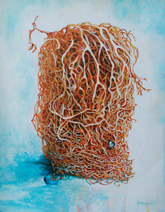 Holdfast