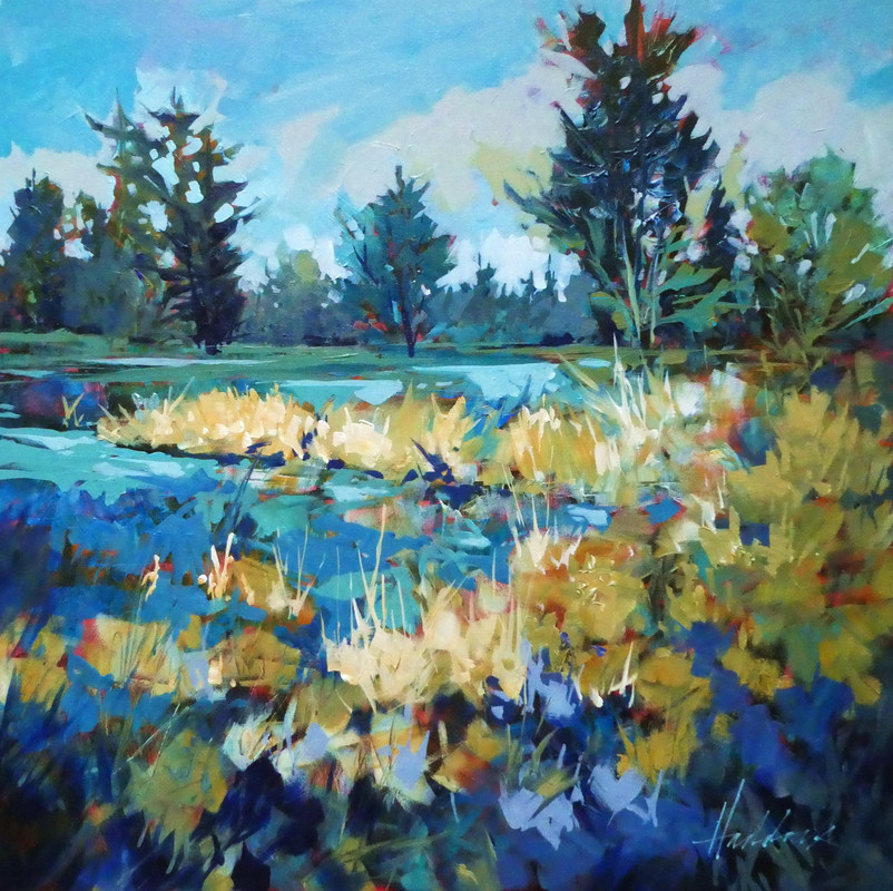 Nicomekl Floodplain