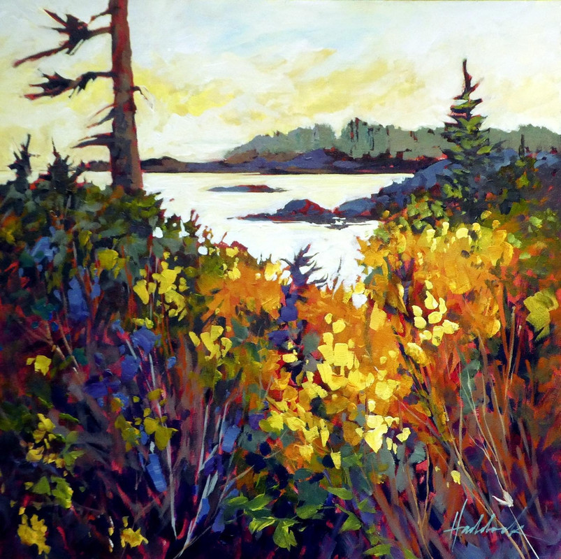 Island Broom 