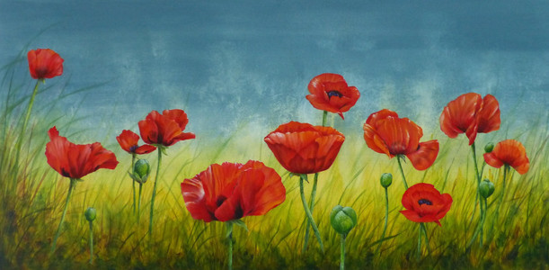 Dream of Poppies