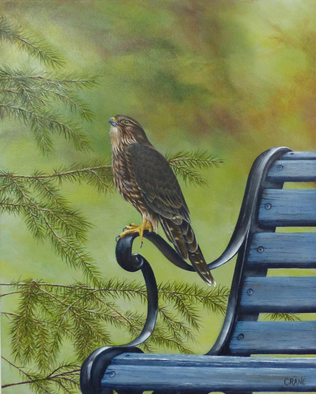 Merlin