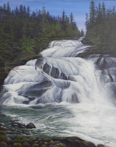 Wild Waters of Clayton Falls