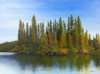 View #1
