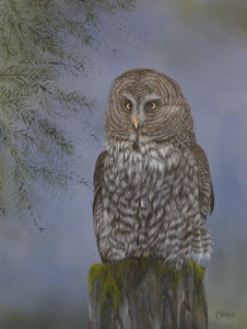 Phantom of the North