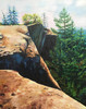 View #1