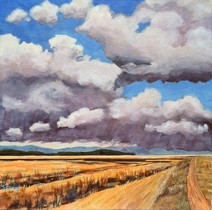 Prairie Storm