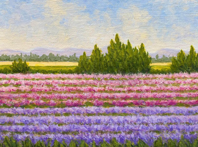 Tulips in Springtime