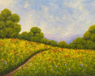 Wildflower meadows