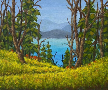 Horseshoe Bay lookout