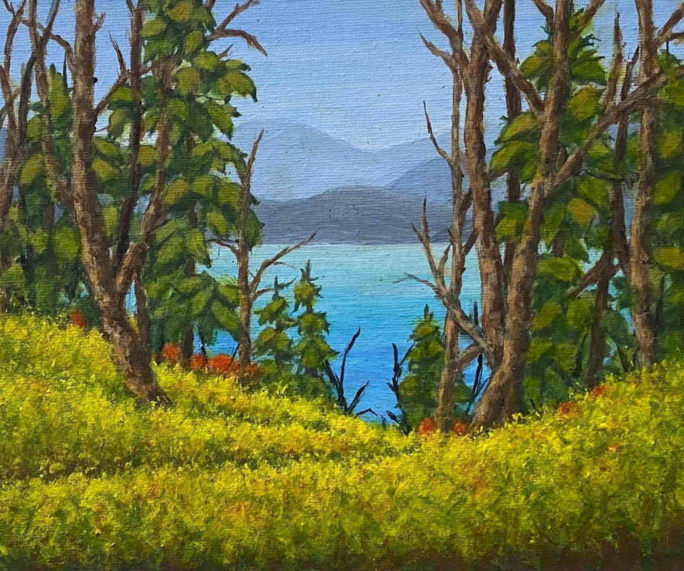 Horseshoe Bay lookout