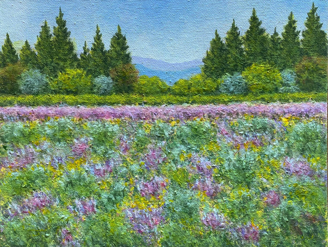 Okanagan sage bush  & wild flowers