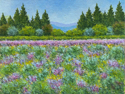 Okanagan sage bush  & wild flowers