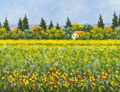 Cottage in summer field