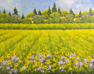 Wild  flowers in Springtime
