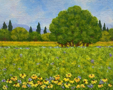 Summer flowers