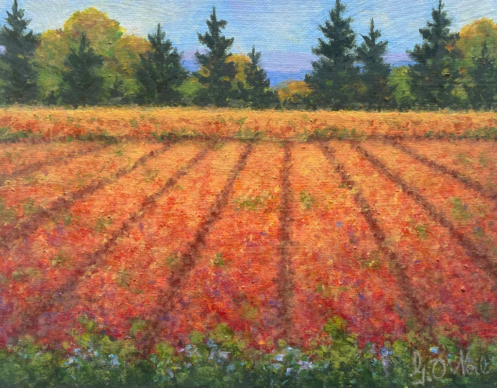 Blueberry  brush in autumn