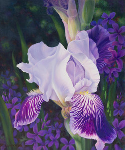 Essence of Spring