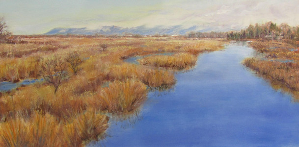 Warm Winter Marsh