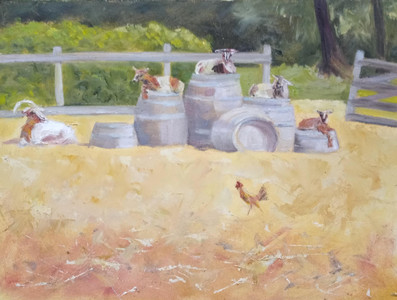 Farmyard Siesta
