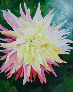 Clearview Jonas Essences