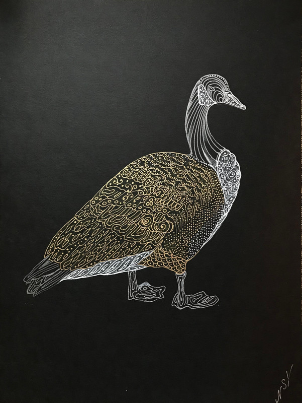 Canada Goose