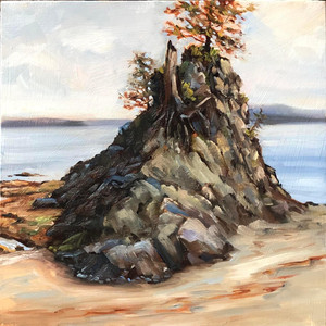 Sea stacks