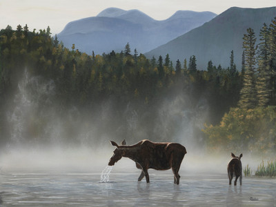 Misty Morning