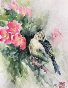 Greenfinch and Wild Rose