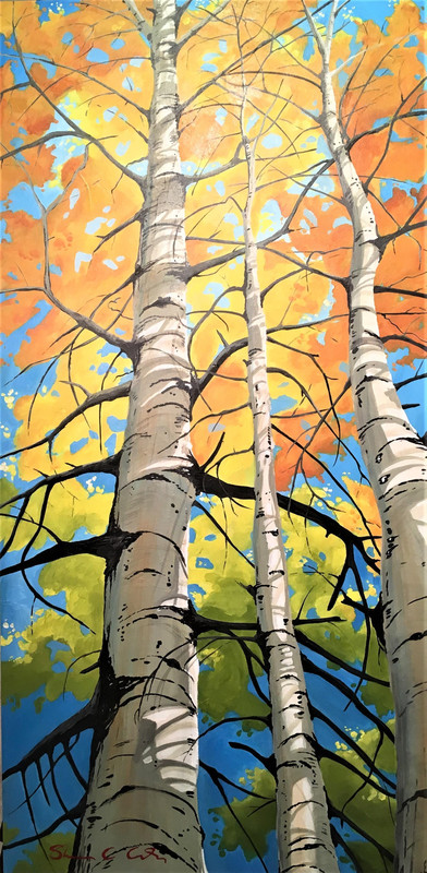 Aspen Amigos