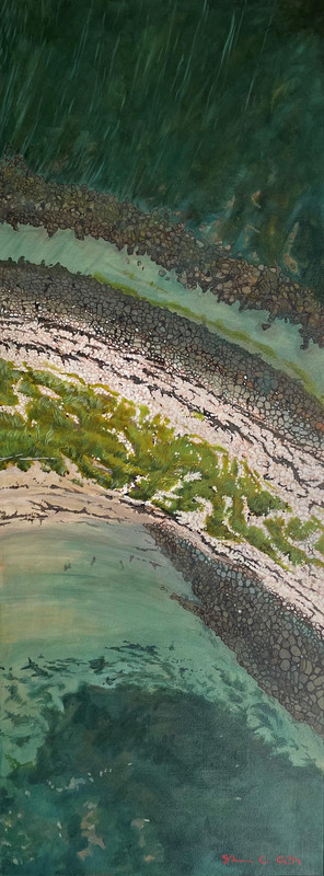 Birds Eye View