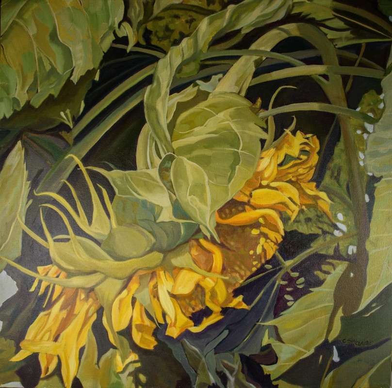 September Sunflower