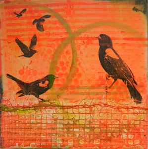 Red winged blackbirds