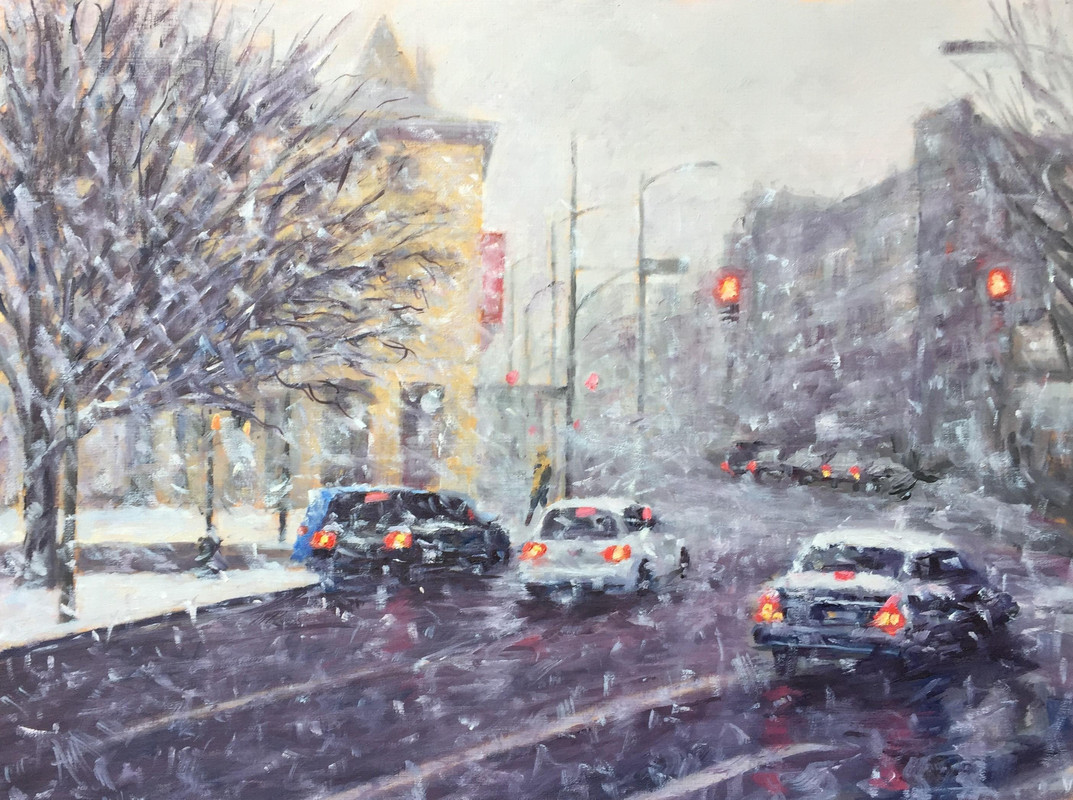 Stopping in the Snow Storm