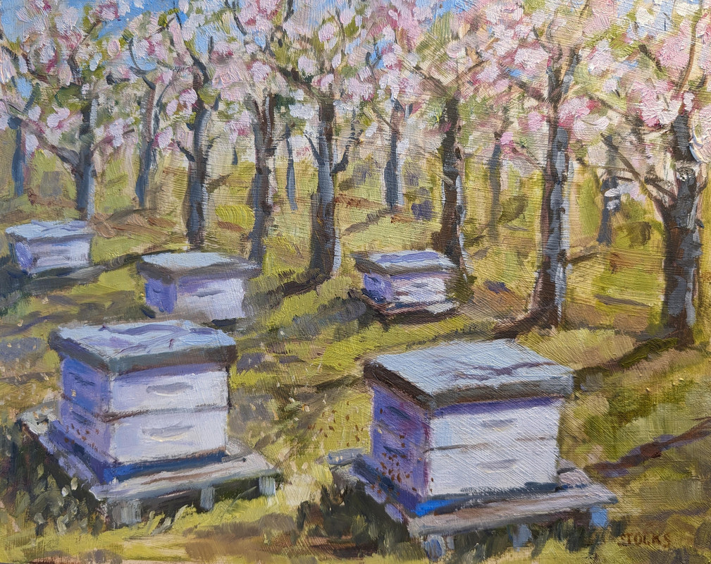 Bee pollinators in the Cherry Orchard