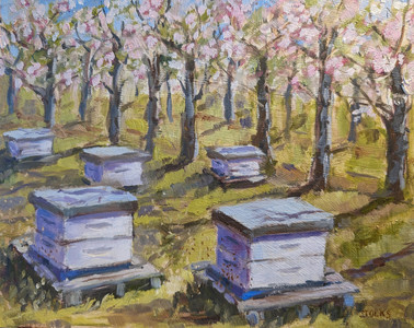 Bee pollinators in the Cherry Orchard