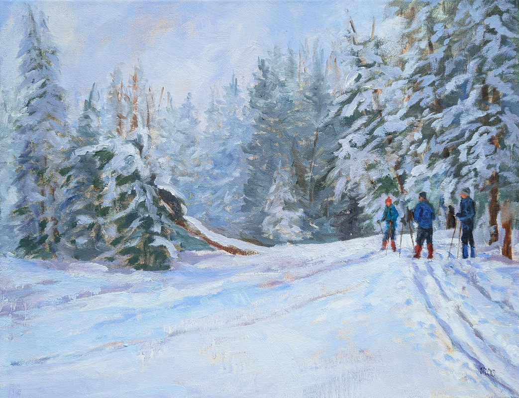 After a Heavy Snowfall