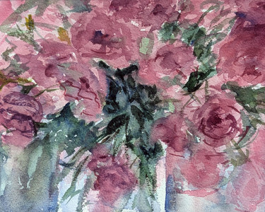 Summer Roses
