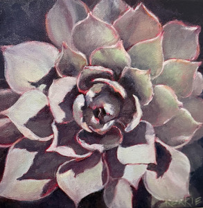 Rosettes