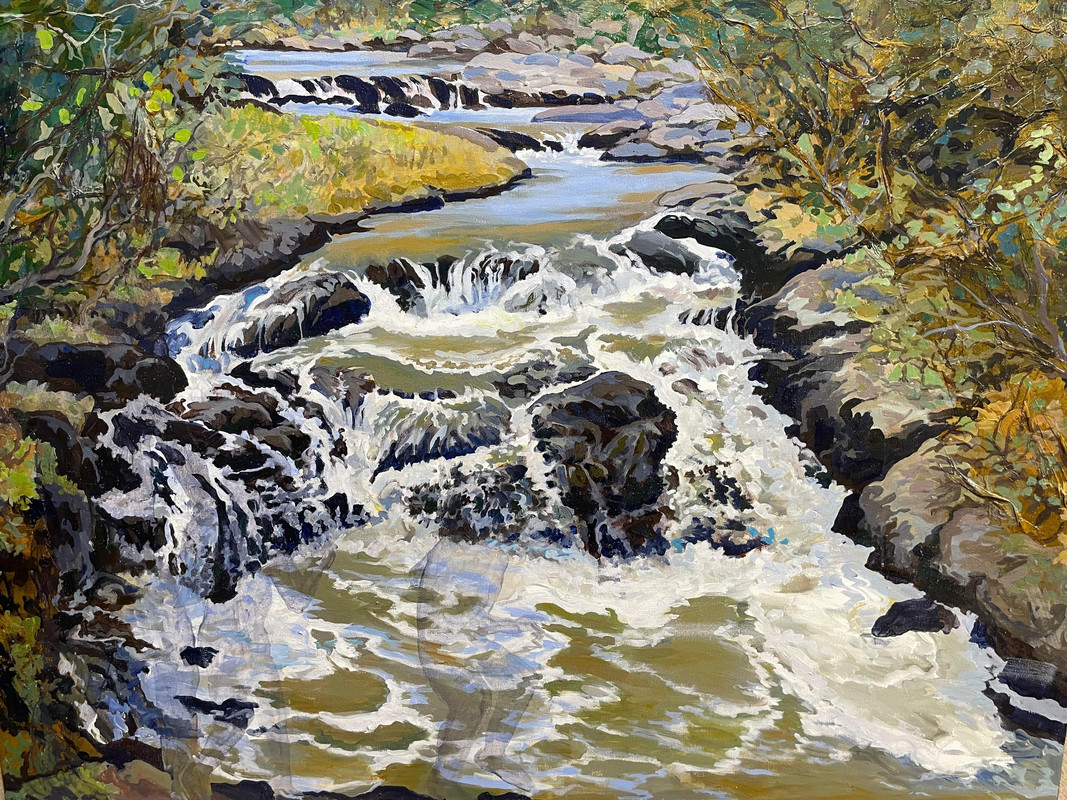 cascading water on Waterford trail