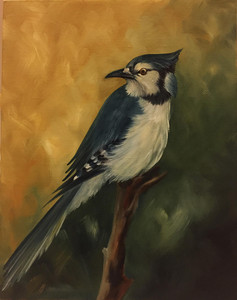 Blue Jay 2