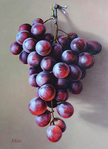 The Red Grape On The Wall