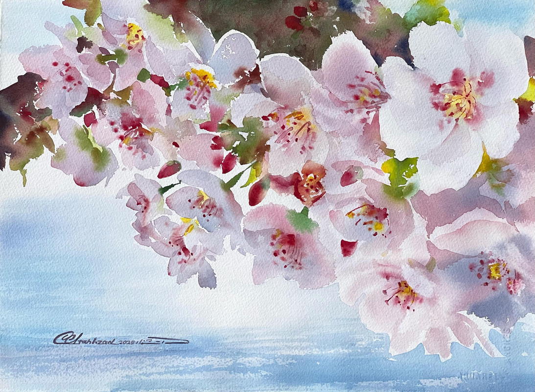 Vibrant Spring