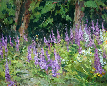 foxgloves